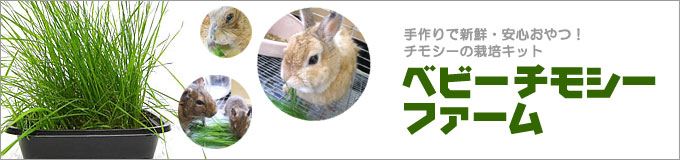 xr[`V[t@[